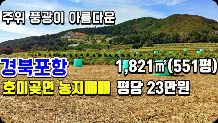 포항농지매매-호미곶면 대보리 1,821(551평) 논 매매