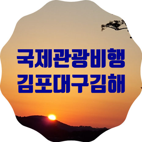  지방공항에서도 무착륙 국제관광비행을 5월부터 시행합니다