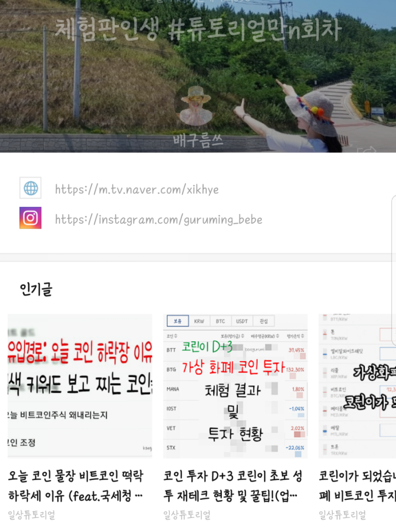 코린이 비트코인 알트코인 투자 대하락장을 만나다! 투자 꿀팁 및 대처법 : 네이버 블로그