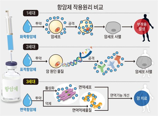  폐암 일반 항암제 종류