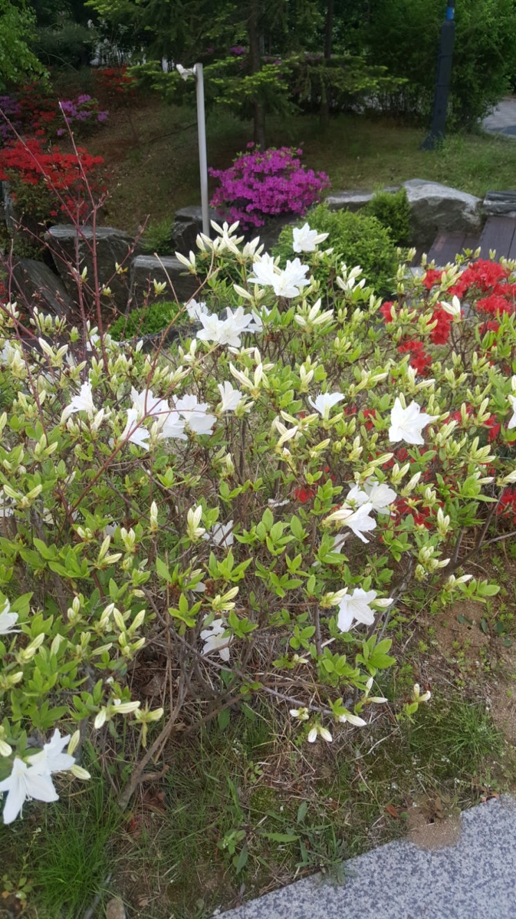  포일자이 주변 사진 4/21