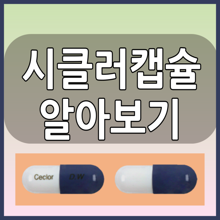  시클러캡슐 항생제의 올바른 복용법과 부작용 등 알아봅시다