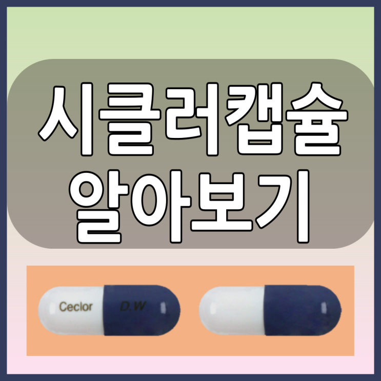 시클러캡슐 항생제의 올바른 복용법과 부작용 등 알아봅시다