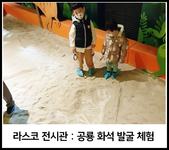  광명 동굴 : 라스코 전시관에 공룡 화석 발굴하러 가요!