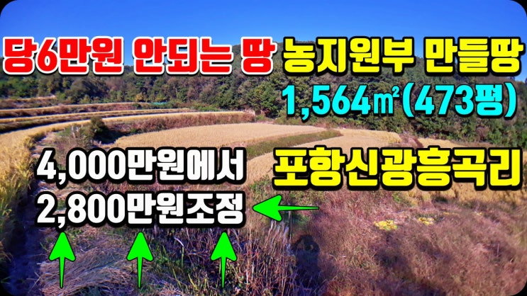 급매물 포항토지매매 신광 흥곡리 농지원부 만들 농지매매-4천만원에서 2800만원으로 내렸어요. 급매물 포항토지매매 신광 흥곡리 농지원부 만들 농지매매-4천만원에서 2800만원으로 내렸어요.