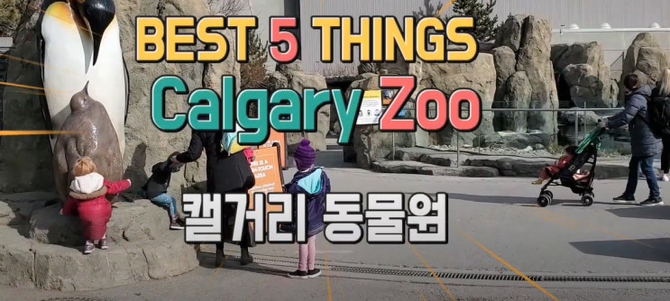  [캘거리 주(동물원)] 주말 나들이로 최고!! 핑크 플라밍고 보러 고고~ / CALGARY ZOO #캐나다여행 #캘거리놀곳 #캘거리동물원