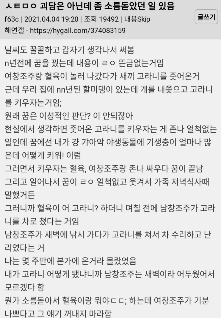  무서운이야기/넌 그렇게 고라니가 키우고 싶드나?
