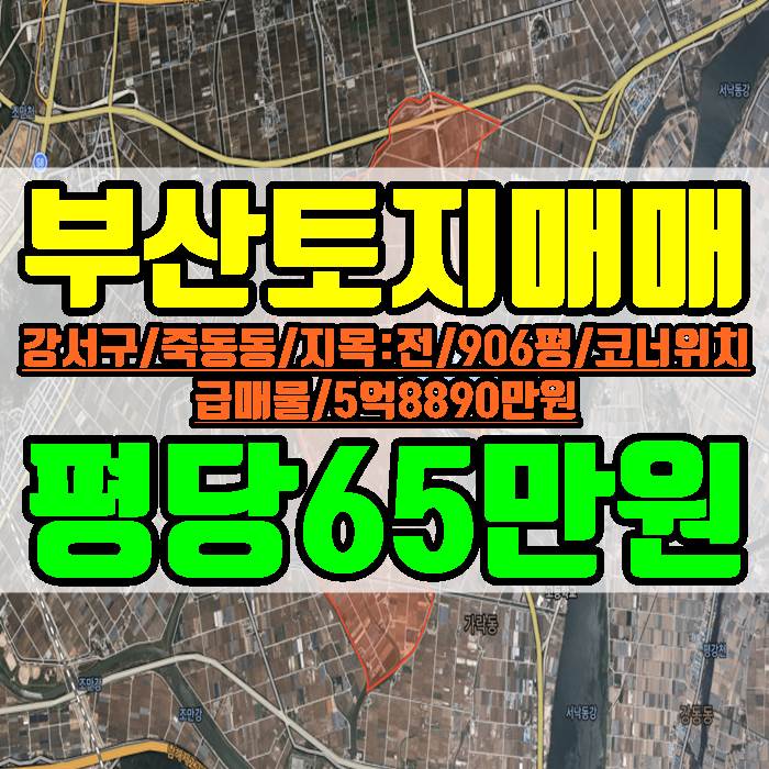 부산토지 강서구 죽동동 906평 전 평당 65만원 급매물