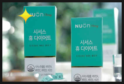  뉴온 시서스 휴 다이어트 이번엔 반드시 성공을