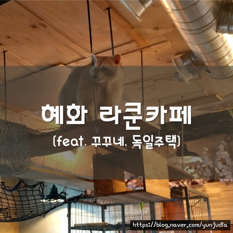  [혜화] 라쿤 카페, 독일 주택 - 수제맥주와 함께하는 서울 대학로 평일 데이트