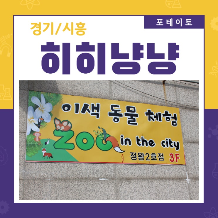  [시흥 동물원] 히히냥냥 카페에서 즐거운 시간!