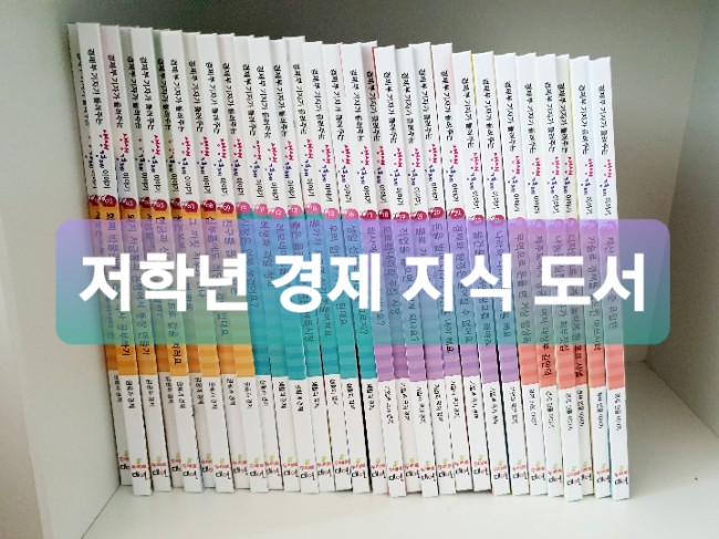  가성비 좋은 초등 저학년 경제 지식 도서 추천(구매처 개똥이네)
