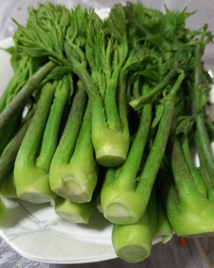 봄제철 산두릅 쌉쌀하고 향긋해~ 두릅 손질 및 데치기.산두릅 가시제거. 두릅 효능. 봄제철 산두릅 쌉쌀하고 향긋해~ 두릅 손질 및 데치기.산두릅 가시제거. 두릅 효능.