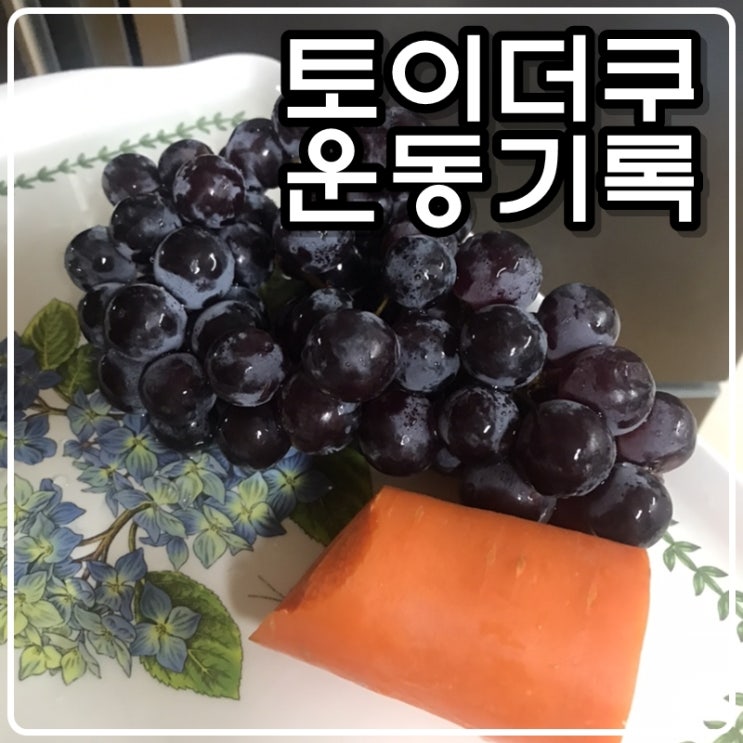 토이콜렉터 손대니 운동(다이어트)기록 -턱걸이(풀업), 푸쉬업, 스쿼트 210421 토이콜렉터 손대니 운동(다이어트)기록 -턱걸이(풀업), 푸쉬업, 스쿼트 210421