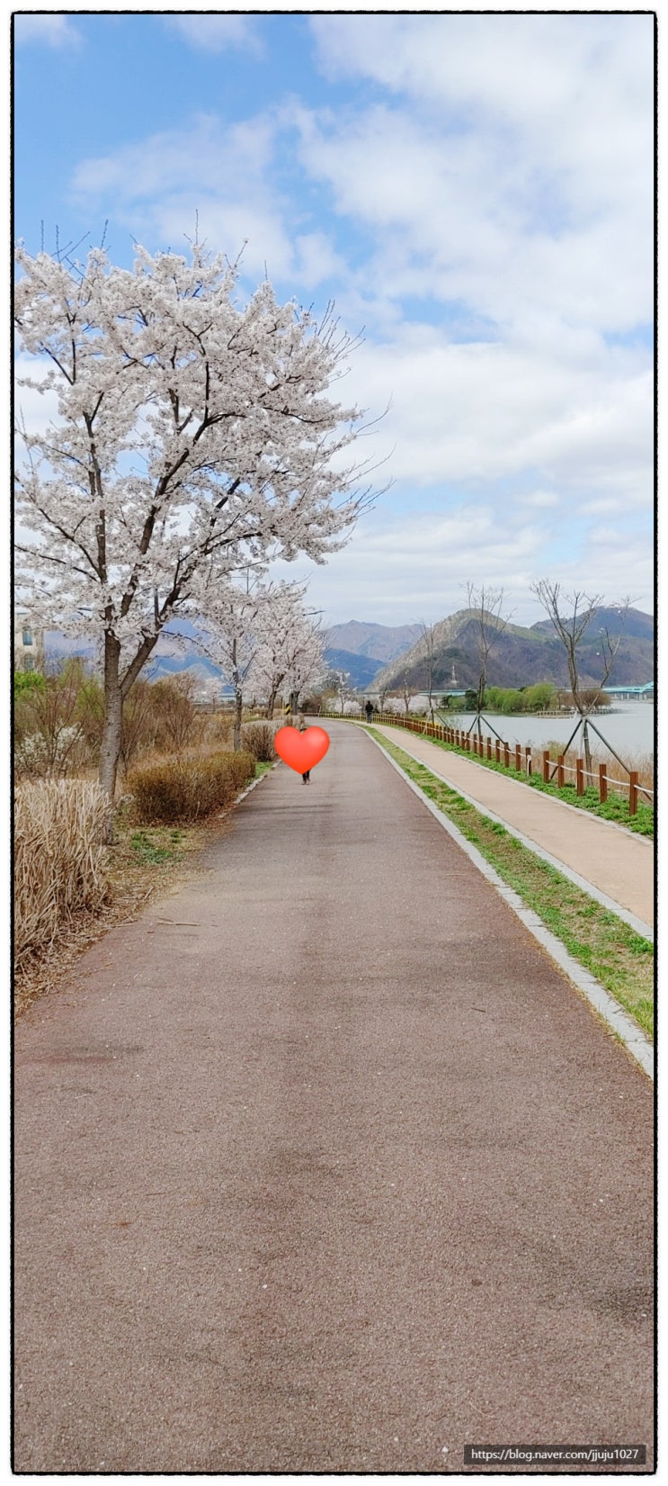  남이섬 근처 아이와 함께 산책하기 좋은 길 (숨은 명소인지 다 아는 곳일지 궁금~)