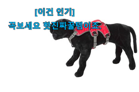 후기보고 꼼꼼히 선별한 혜자템 러프웨어 하네스 나의 선택 이에요. 잘 알아봤다고 좋아해요. 후기보고 꼼꼼히 선별한 혜자템 러프웨어 하네스 나의 선택 이에요. 잘 알아봤다고 좋아해요.