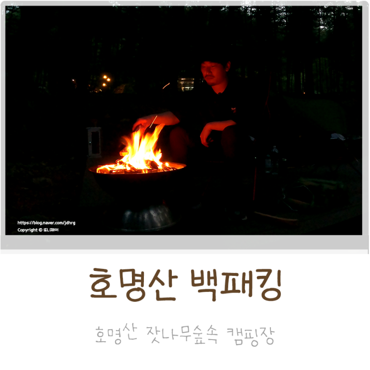  [대중교통 백패킹] 가평 호명산 잣나무숲속 캠핑장 사이트 명당 추천