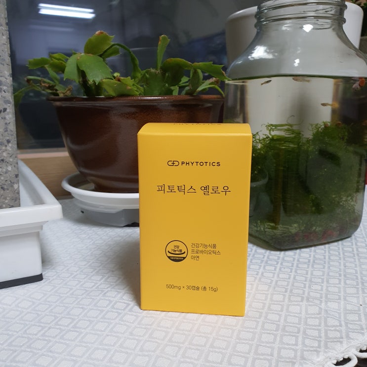  울금유산균 면역력 놓치지말자