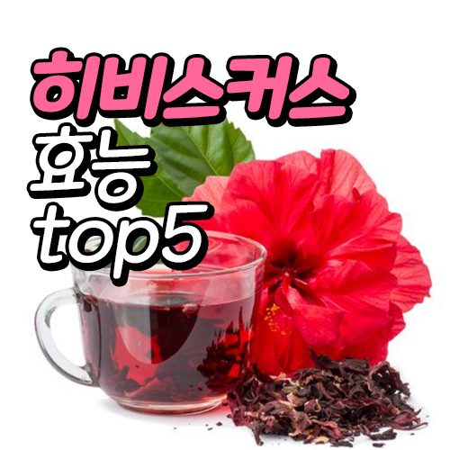 히비스커스 차 건강 효능, 마시는법과 주의점