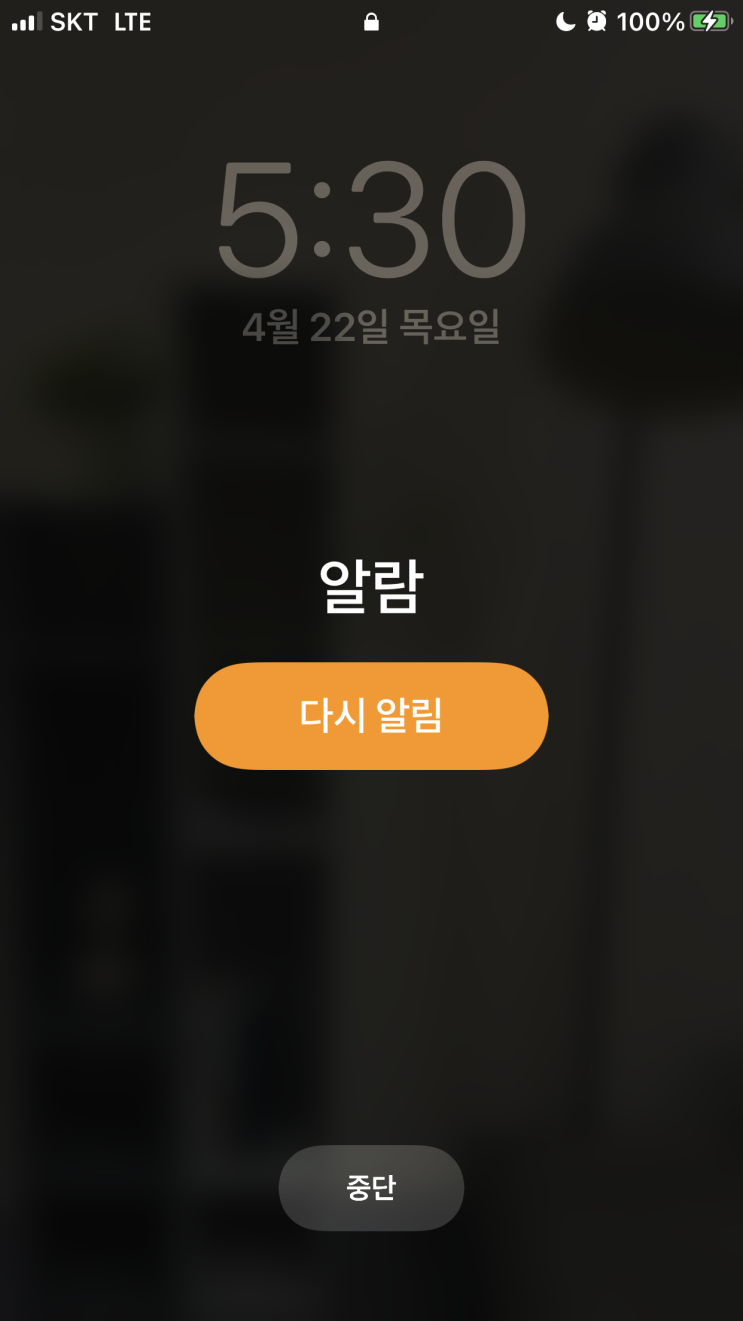  미라클 모닝 11일차