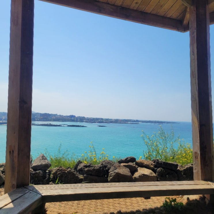  [제주여행]동부코스/뚜벅이여행_20210420