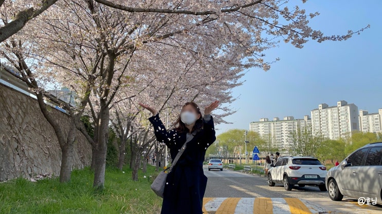  어느날의 일상
