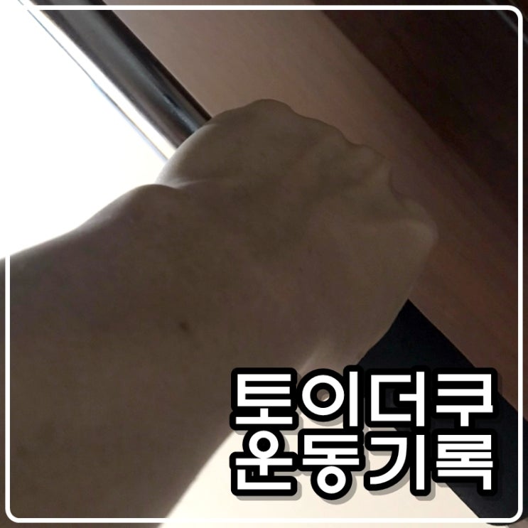 토이콜렉터 손대니 운동(다이어트)기록 -턱걸이(풀업), 푸쉬업, 스쿼트 210422 토이콜렉터 손대니 운동(다이어트)기록 -턱걸이(풀업), 푸쉬업, 스쿼트 210422