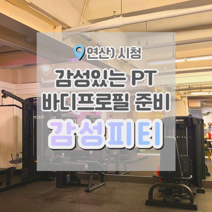  부산바디프로필 준비하기 좋은 부산시청PT 감성피티