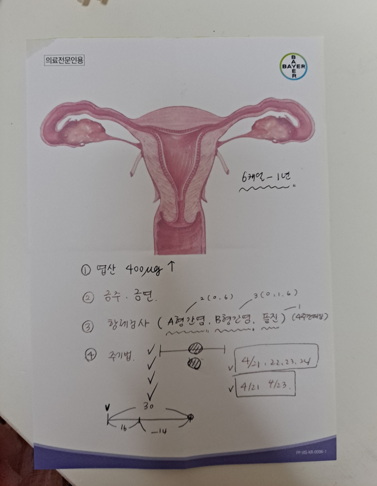 송파 고은빛산부인과에서 임신 전 산전검사 (송파보건소 산전검사 불가)