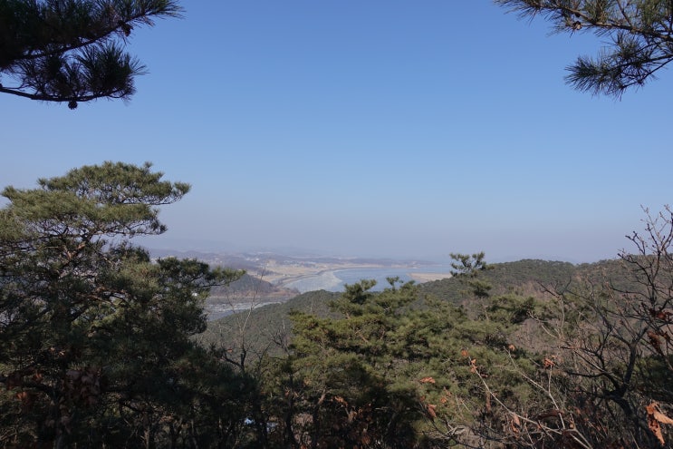  만성 두드러기 소화불량, 피부묘기증과의 비교