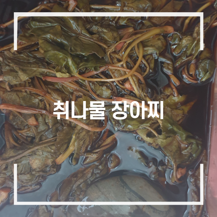 취나물 장아찌 만드는 방법