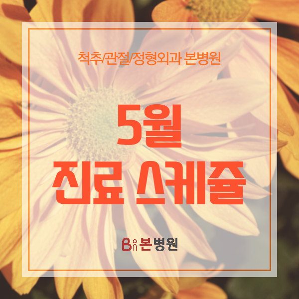  [공지] 안양 본병원 5월 진료 스케쥴 안내