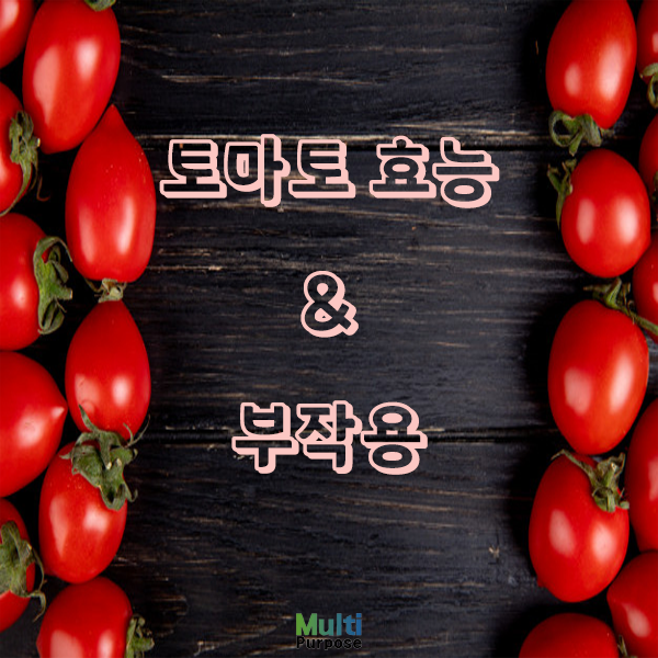토마토 효능 & 부작용 알고 먹어요
