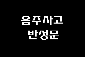  음주운전 사고 반성문 탄원서 사과문 작성 사례