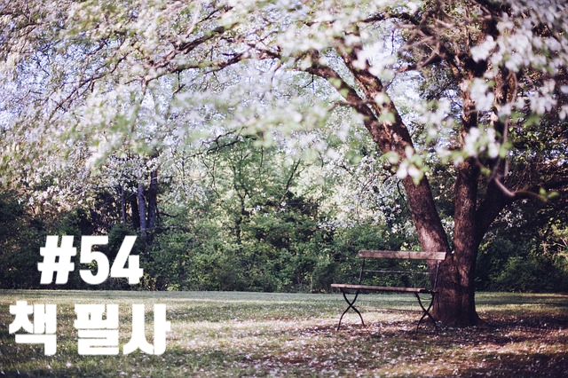 54번째 책 필사 - 기욤 뮈소의 치유 서사 54번째 책 필사 - 기욤 뮈소의 치유 서사