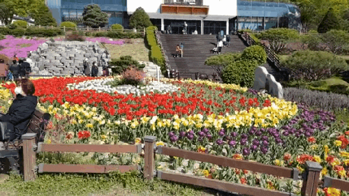  전주 근교 가볼만한곳 전라북도 완주군 대아수목원 봄향기 물씬