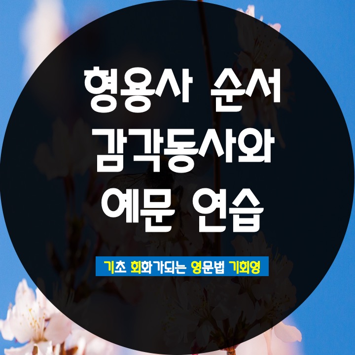  형용사 순서 모음 감각동사 쉽게 정리 - 기회영 영어