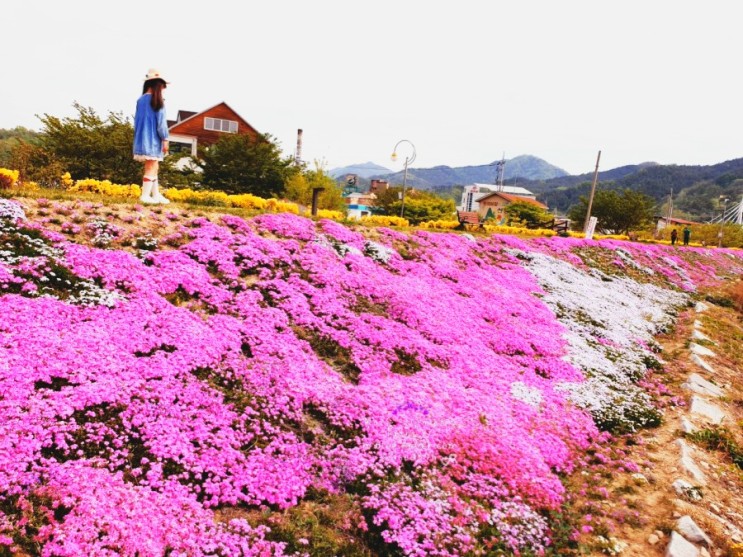 경남 아이와 갈만한곳:산청 생초국제조각공원 봄꽃 여행(꽃잔디 축제취소)