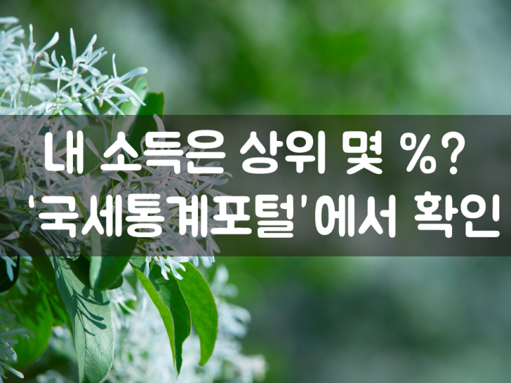  내 소득은 상위 몇 %? ‘국세통계포털’에서 확인