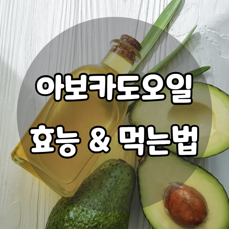 아보카드오일 효능 먹는법 완벽 정리해드립니다!