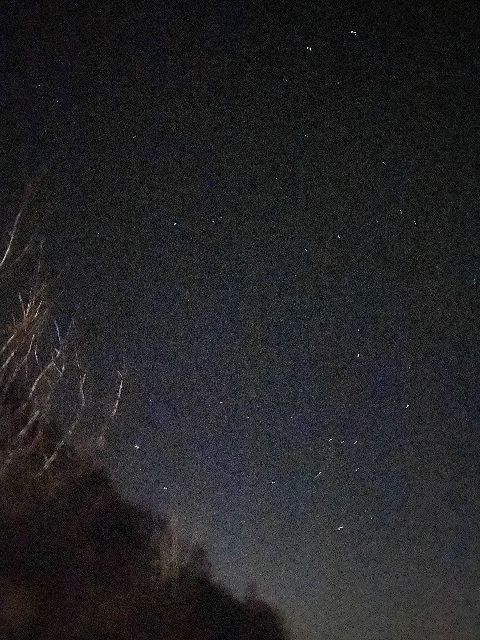 산골숲속펜션 사진 4