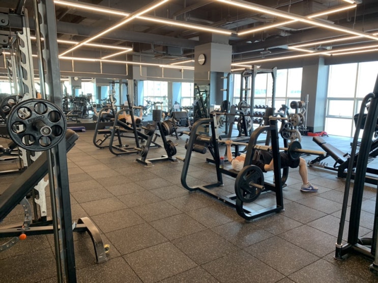  당산 헬스장 추천해요, 깨끗하고 시설좋은 테리온휘트니스 당산점
