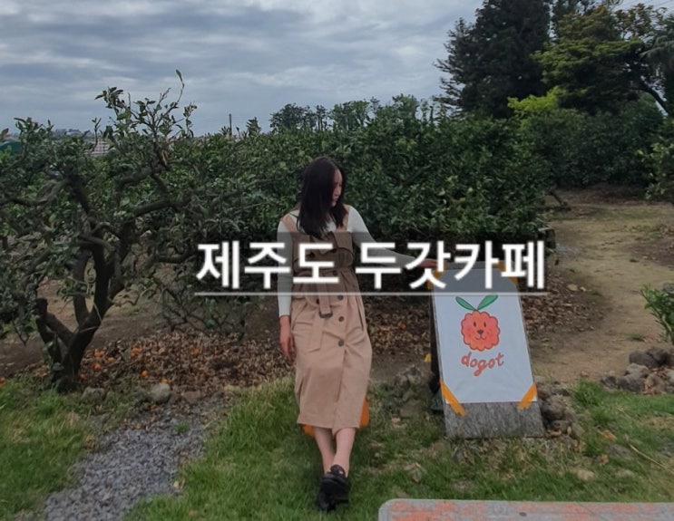  (제주도 여행 2일차) 제주공항근처 감귤밭이 예쁜 두갓카페^^
