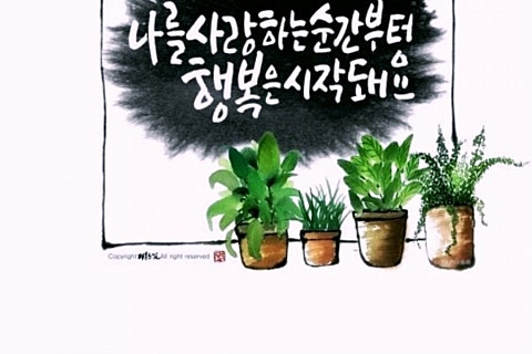 안*식 이미지