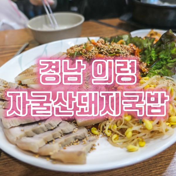  의령 서동리 맛집 자굴산돼지국밥 낙지보쌈과 돼지국밥