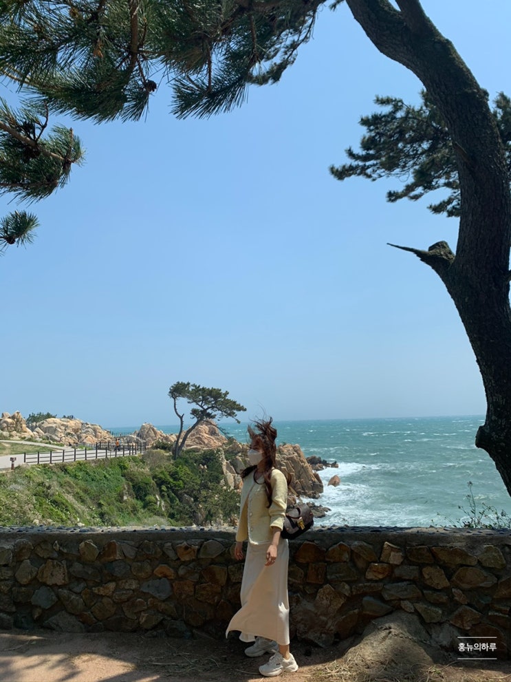  울산 가볼 만한 곳 :-) 울산대왕암공원 바위가 이쁜 울산바다명소