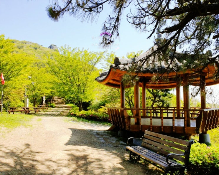 부산 가덕도 연대봉 등산코스:지양곡주차장-연대봉-임도(초보 최단코스) 부산 가덕도 연대봉 등산코스:지양곡주차장-연대봉-임도(초보 최단코스)