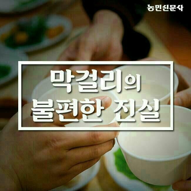  막걸리의 불편한 진실