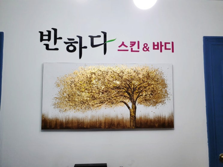  [대전피부관리실] 반하다 스킨앤바디 하체관리 후기
