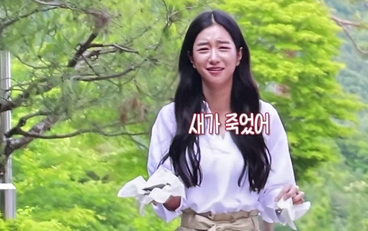 서예지 새로운 논란들 새를 보고 지은 표정? 인스타그램 주소는? 팬카페 근황 서예지 새로운 논란들 새를 보고 지은 표정? 인스타그램 주소는? 팬카페 근황